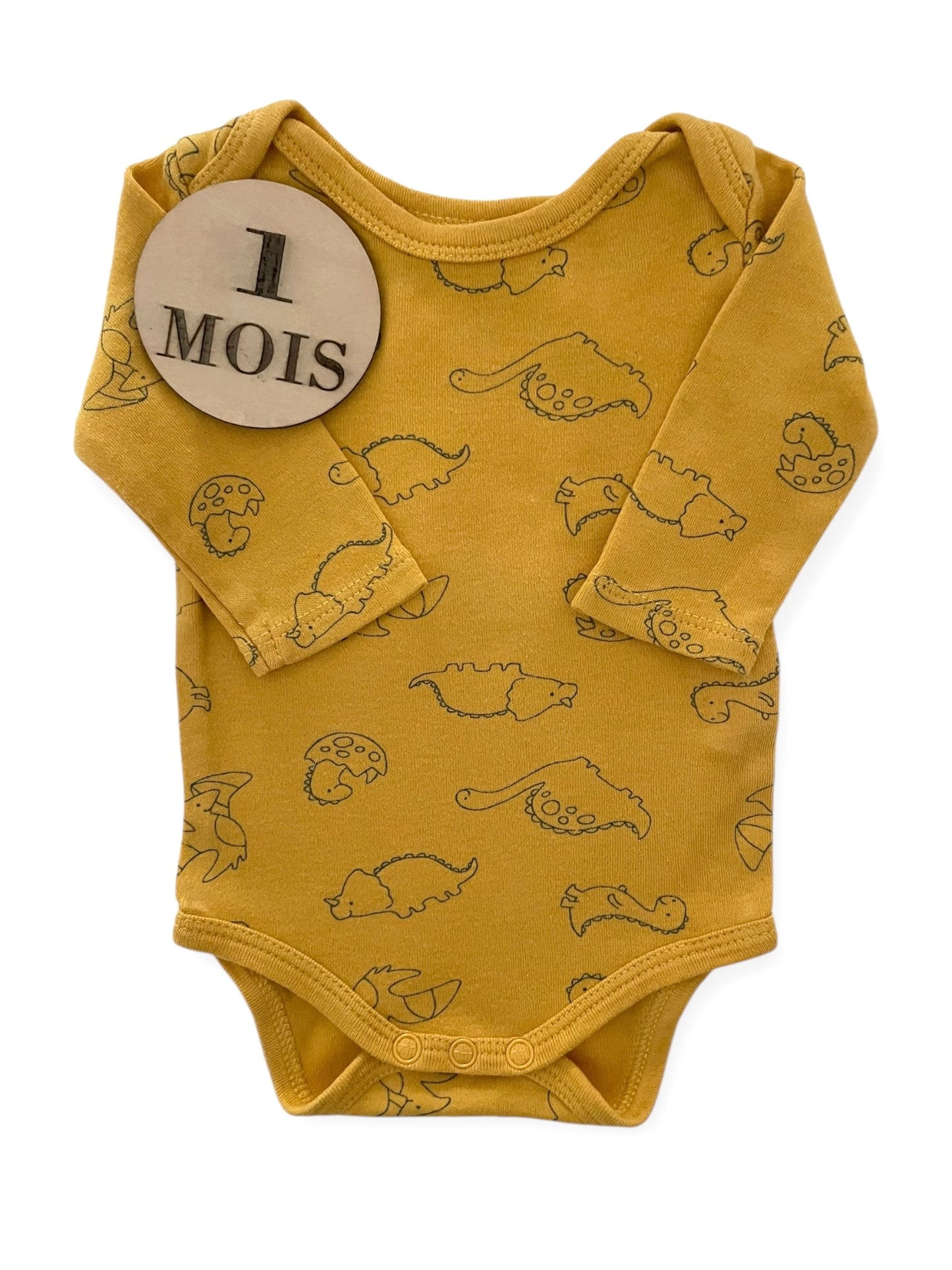 Body moutarde, dinosaures, In extenso