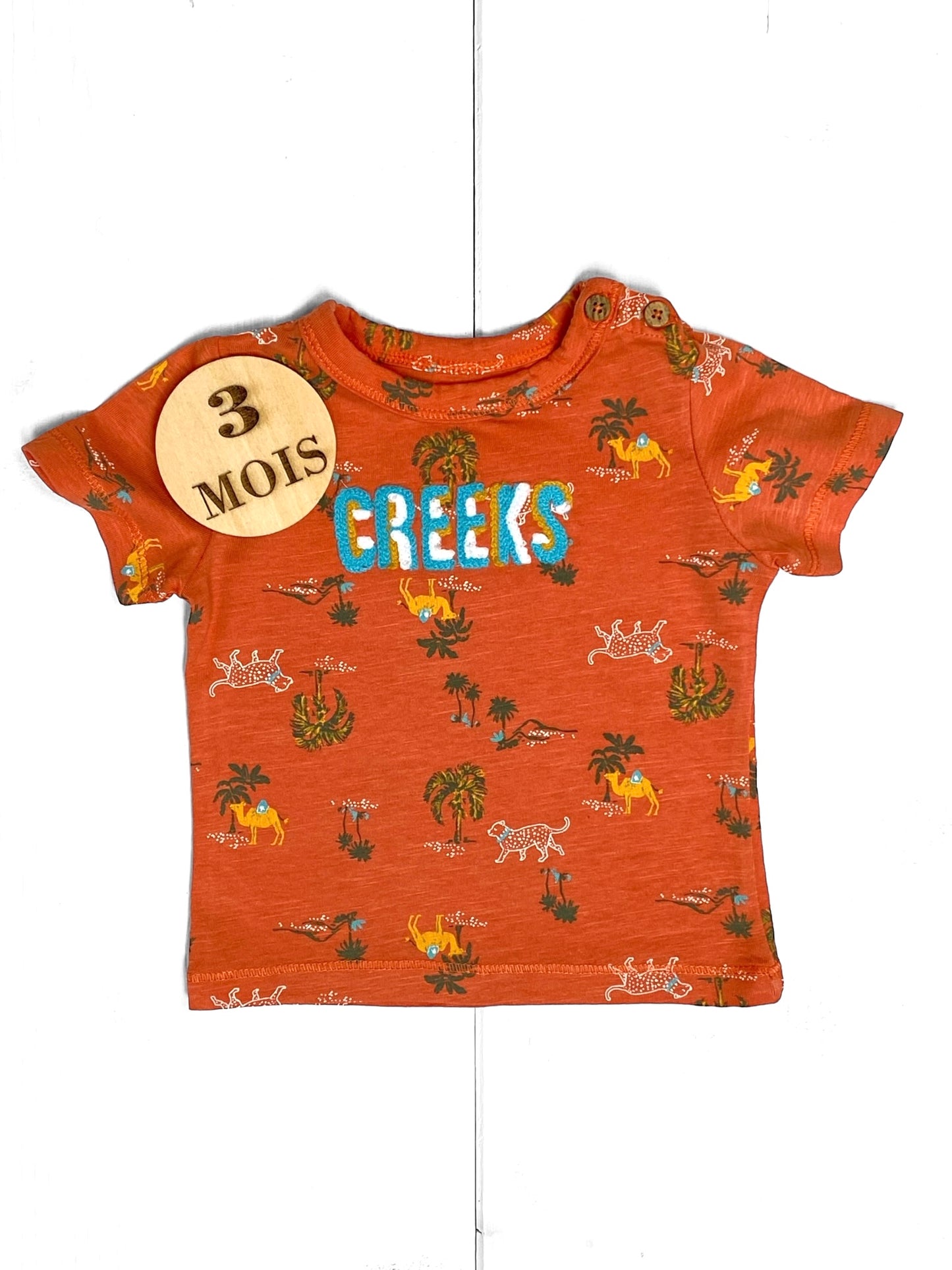 Tee-shirt, orange, Creeks
