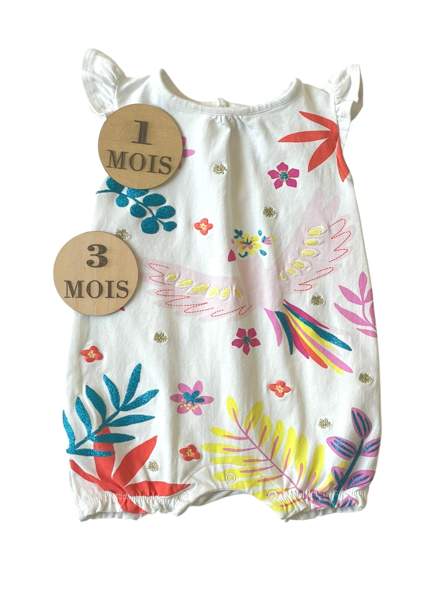 Combishort perroquet, DPAM