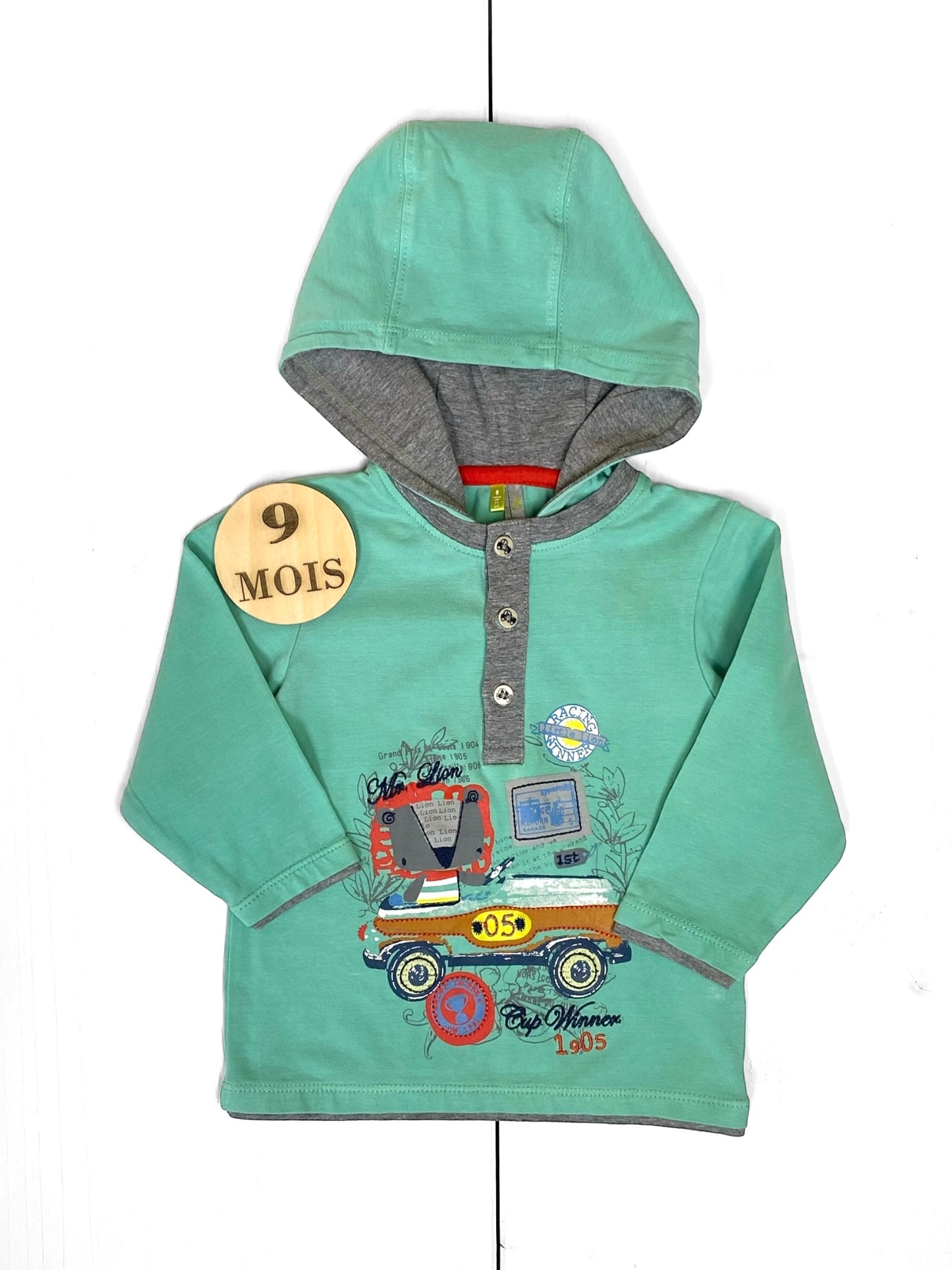 Tee-shirt à capuche, vert, Orchestra