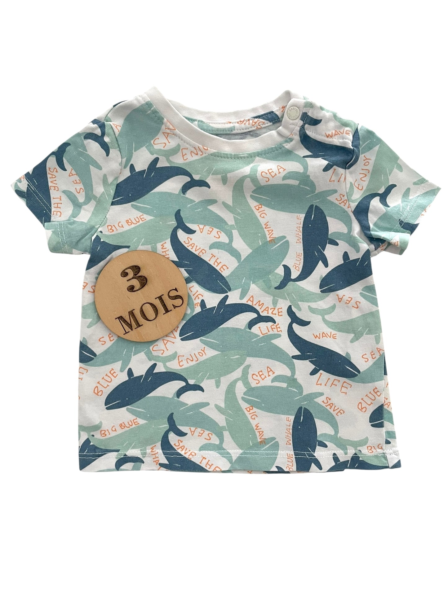 Tee-shirt baleines, Orchestra