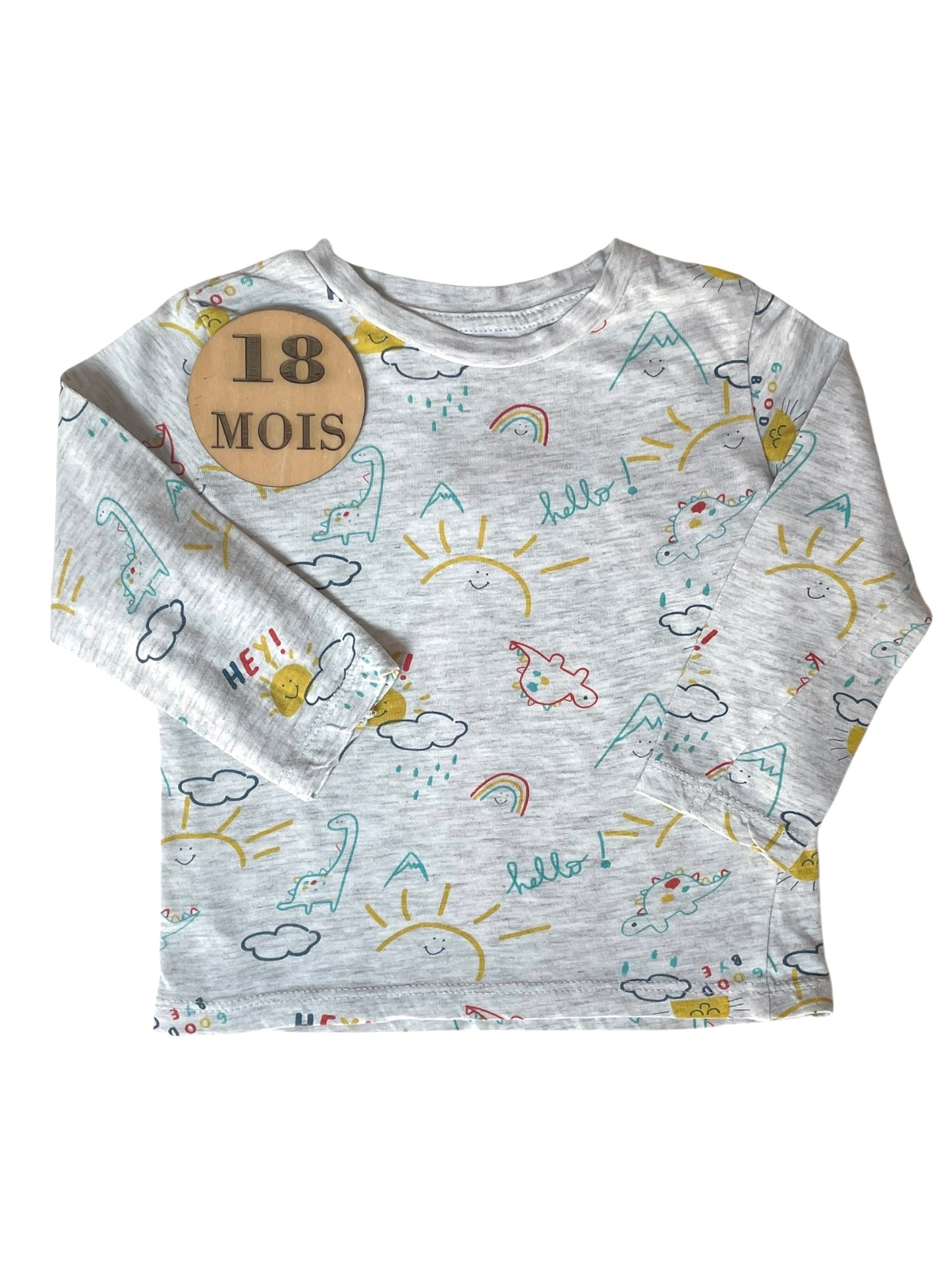 Tee-shirt gris arc en ciel, In extenso