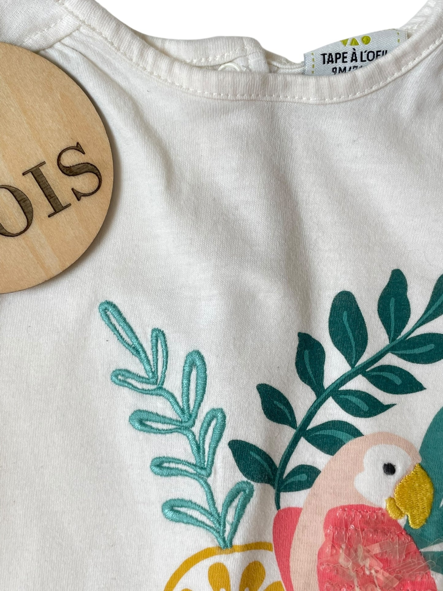 Tee-shirt perroquet, TAO