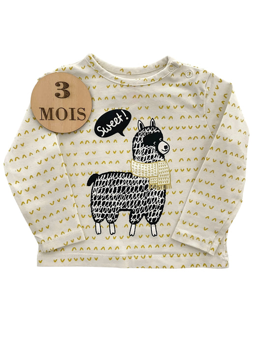Tee-shirt lama, Hema