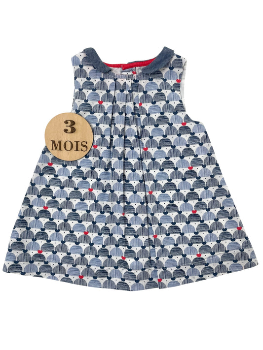 Robe grise et bleu, Obaïbi