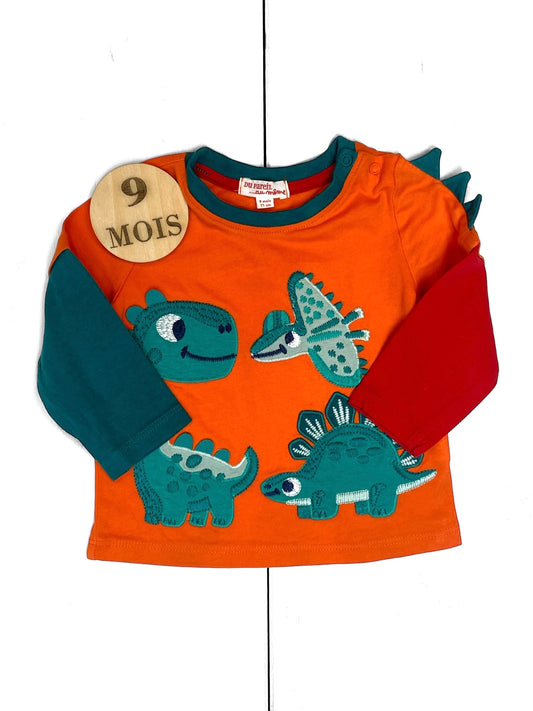 Tee-shirt dinosaure, DPAM