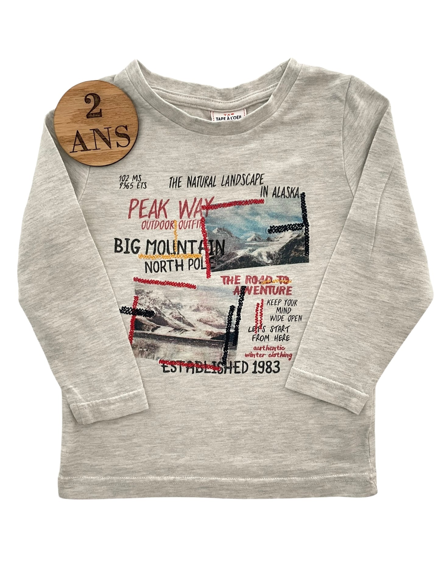 Tee-shirt gris, TAO