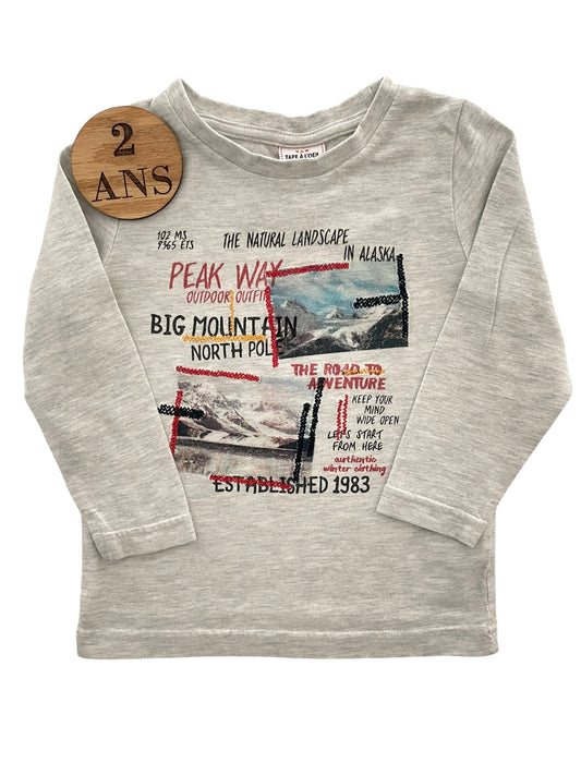 Tee-shirt gris, TAO