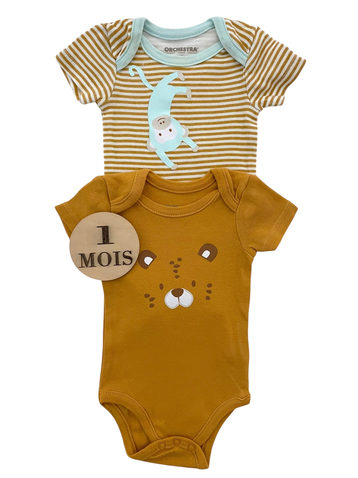 Lot 2 bodies animaux, Orchestra