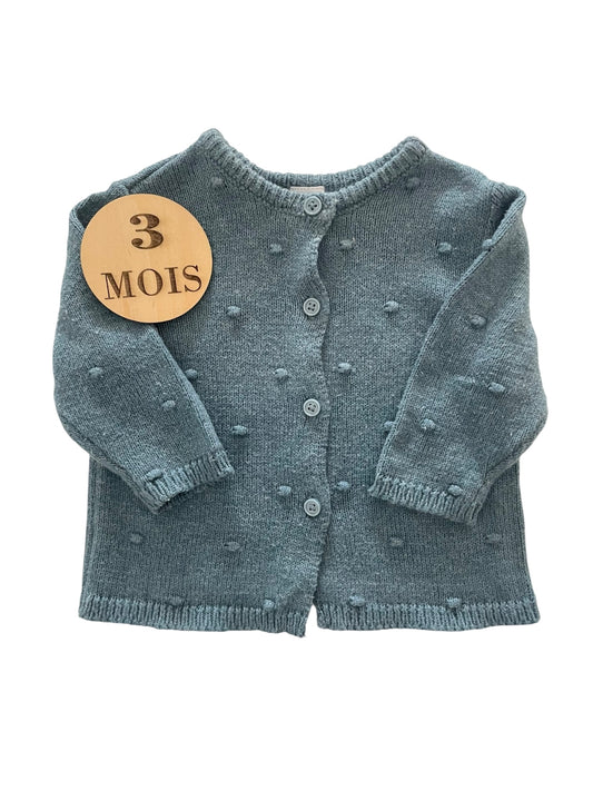 Gilet bleu-gris, Tex