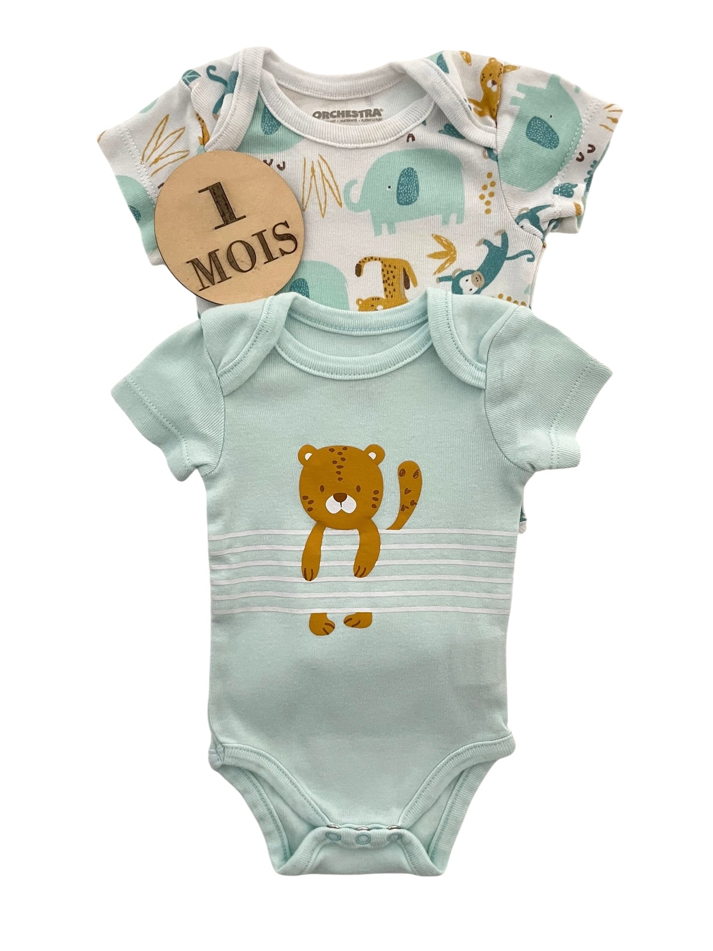 Lot 2 bodies, animaux, Orchestra