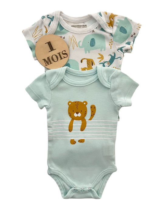 Lot 2 bodies, animaux, Orchestra