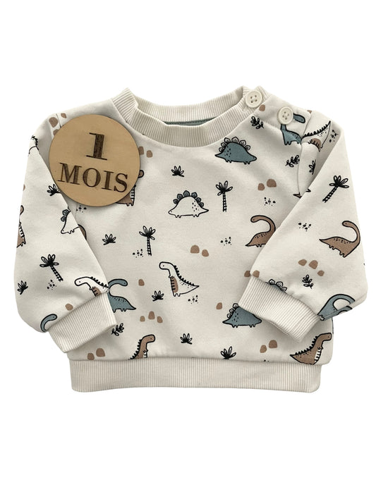Sweat dinosaures, Kiabi