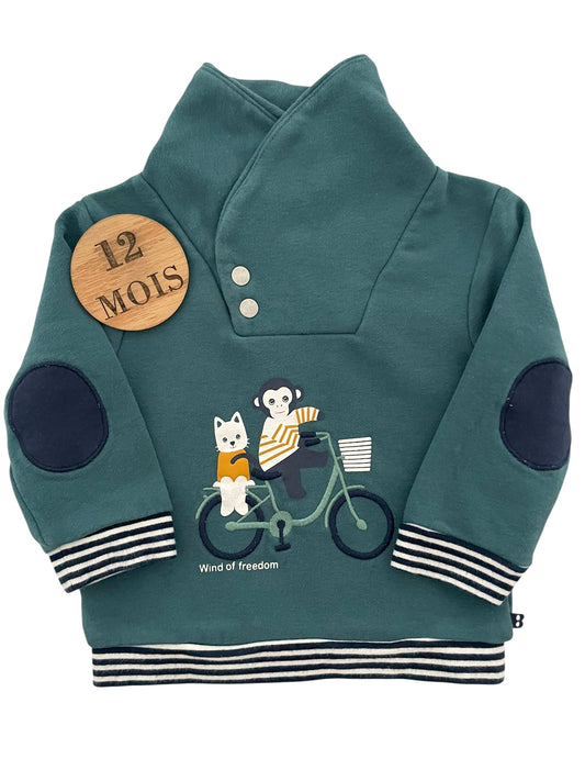 Pull bleu-vert, Obaïbi