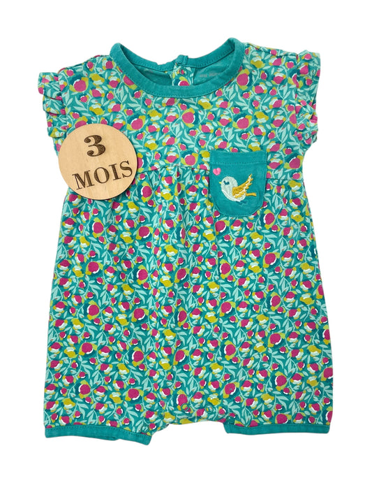 Combishort verte, oiseau, DPAM