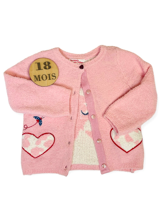 Gilet rose, DPAM