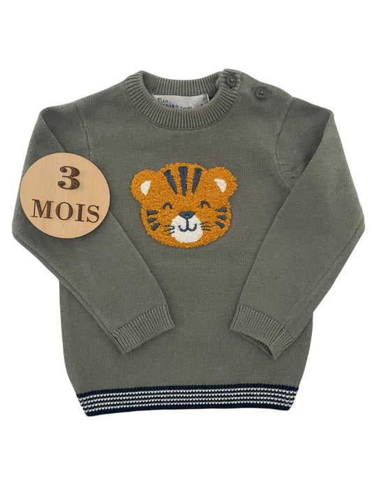 Pull fin, vert, tigre, Orchestra