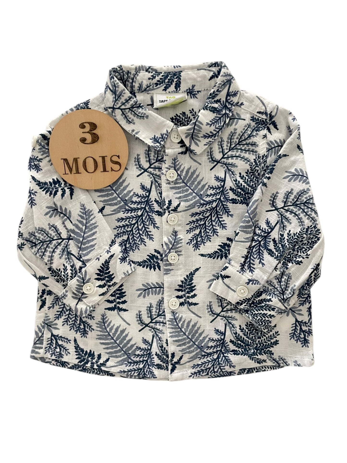 Chemise palmier, TAO